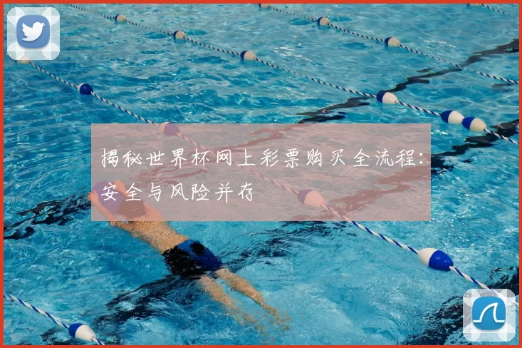 揭秘世界杯网上彩票购买全流程:安全与风险并存