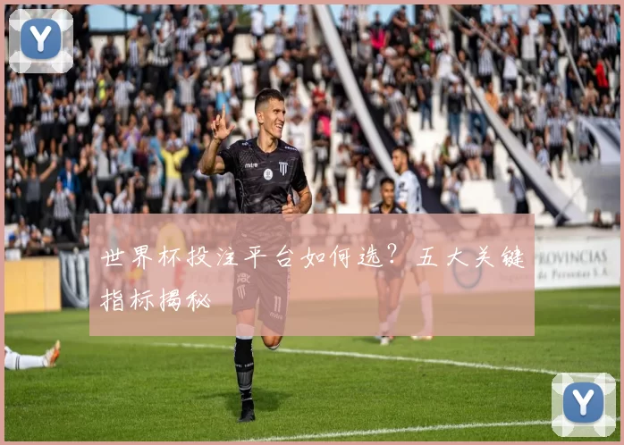 世界杯投注平台如何选?五大关键指标揭秘