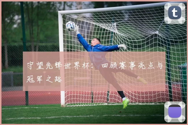 守望先锋世界杯：回顾赛事亮点与冠军之路