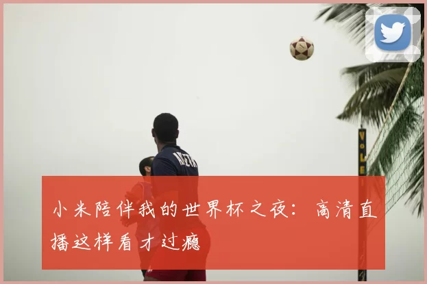 小米陪伴我的世界杯之夜:高清直播这样看才过瘾