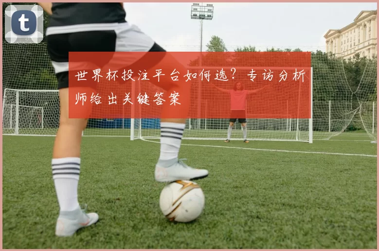 世界杯投注平台如何选?专访分析师给出关键答案