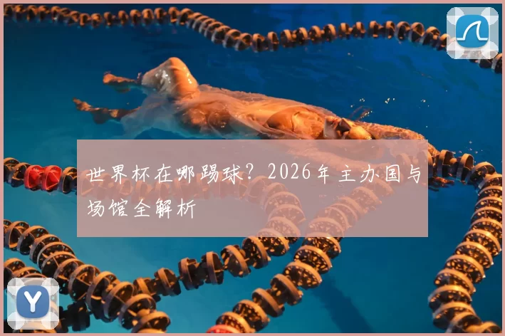 世界杯在哪踢球?2026年主办国与场馆全解析