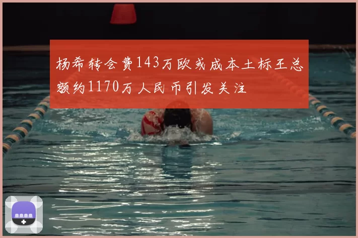 杨希转会费143万欧或成本土标王总额约1170万人民币引发关注