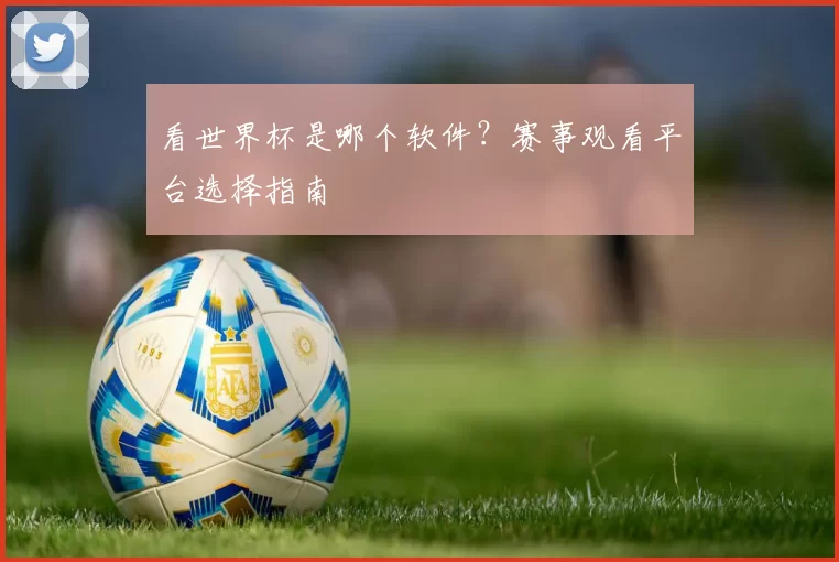 看世界杯是哪个软件?赛事观看平台选择指南