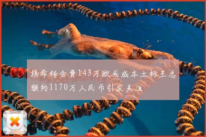杨希转会费143万欧或成本土标王总额约1170万人民币引发关注