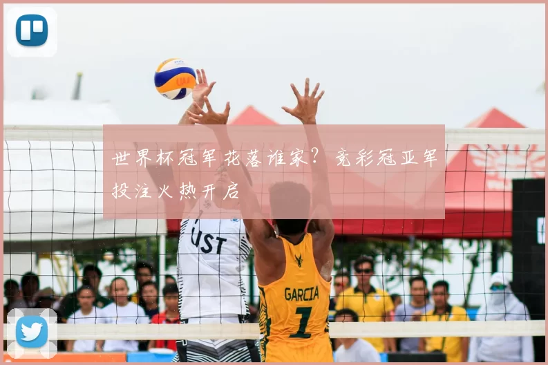 世界杯冠军花落谁家？竞彩冠亚军投注火热开启