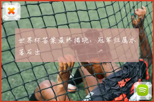 世界杯答案最终揭晓，冠军归属水落石出
