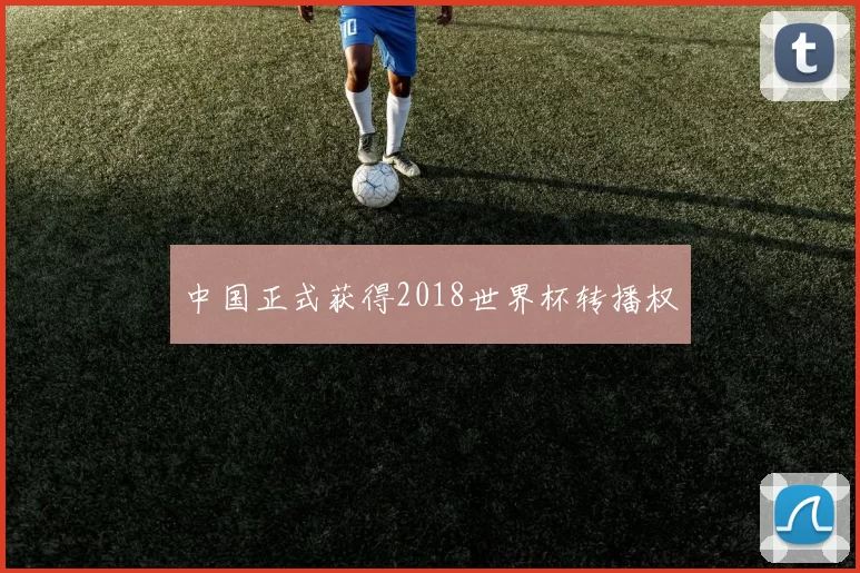 中国正式获得2018世界杯转播权