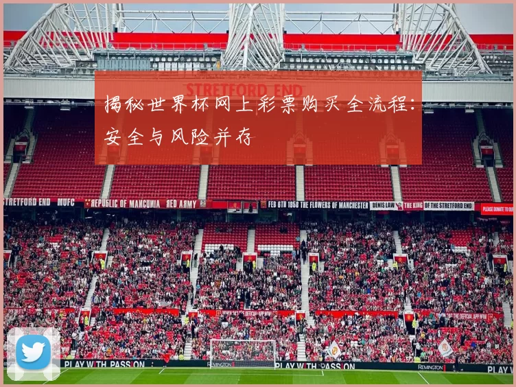 揭秘世界杯网上彩票购买全流程:安全与风险并存