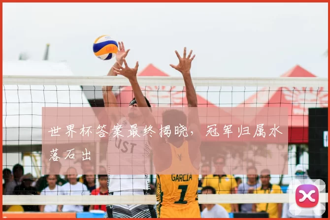 世界杯答案最终揭晓,冠军归属水落石出