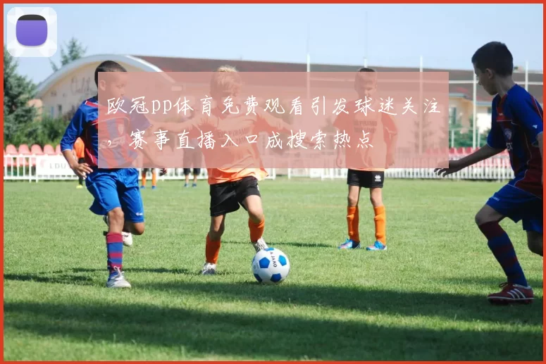 欧冠pp体育免费观看引发球迷关注,赛事直播入口成搜索热点