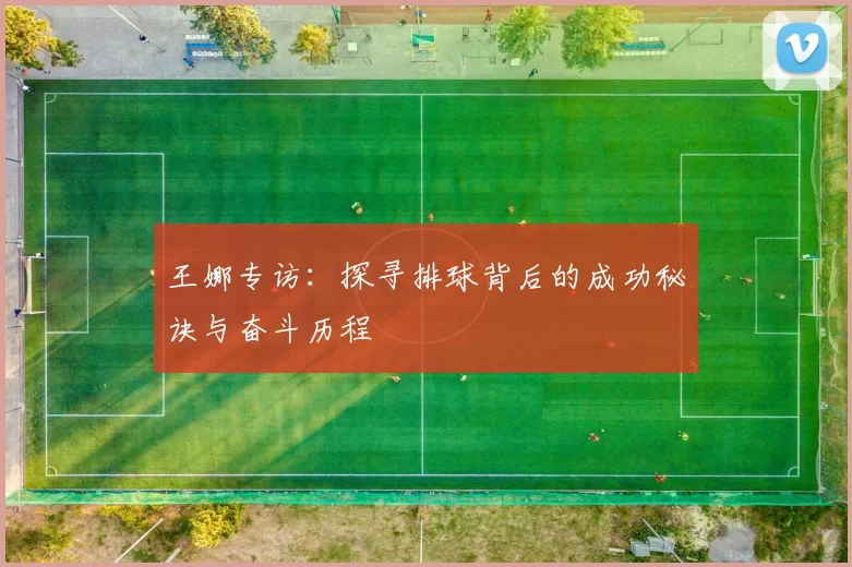 王娜专访:探寻排球背后的成功秘诀与奋斗历程