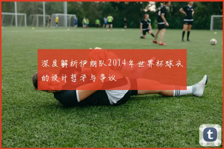 深度解析伊朗队2014年世界杯球衣的设计哲学与争议