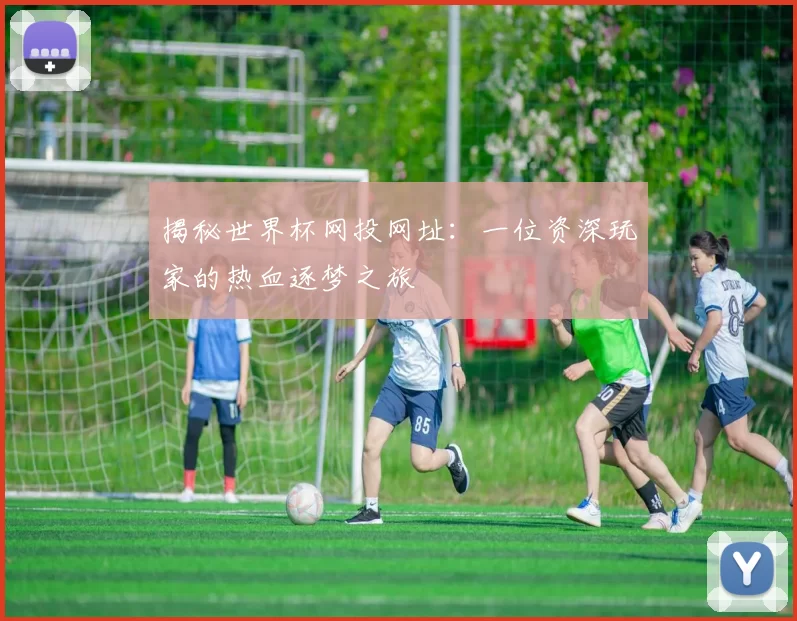 揭秘世界杯网投网址:一位资深玩家的热血逐梦之旅