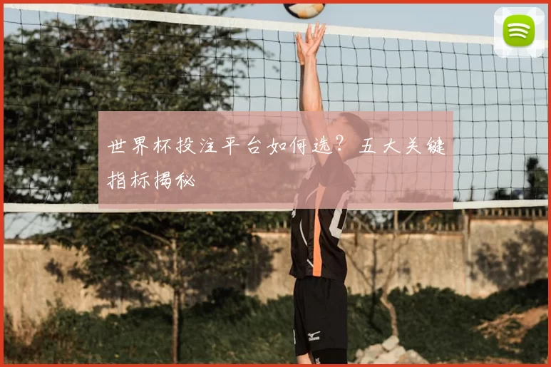 世界杯投注平台如何选？五大关键指标揭秘