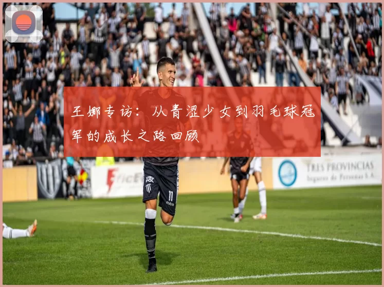 王娜专访:从青涩少女到羽毛球冠军的成长之路回顾