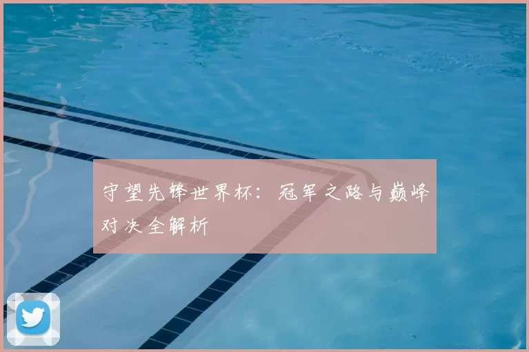 守望先锋世界杯:冠军之路与巅峰对决全解析